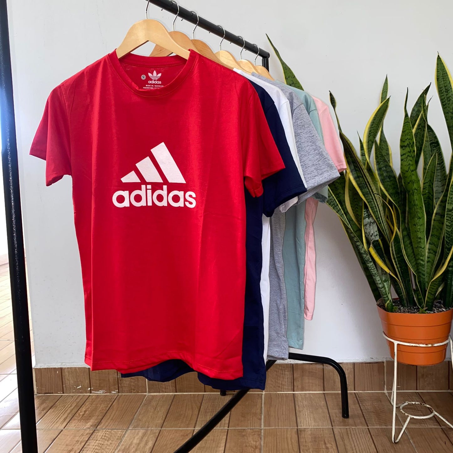 6 Camisetas en algodón estampadas