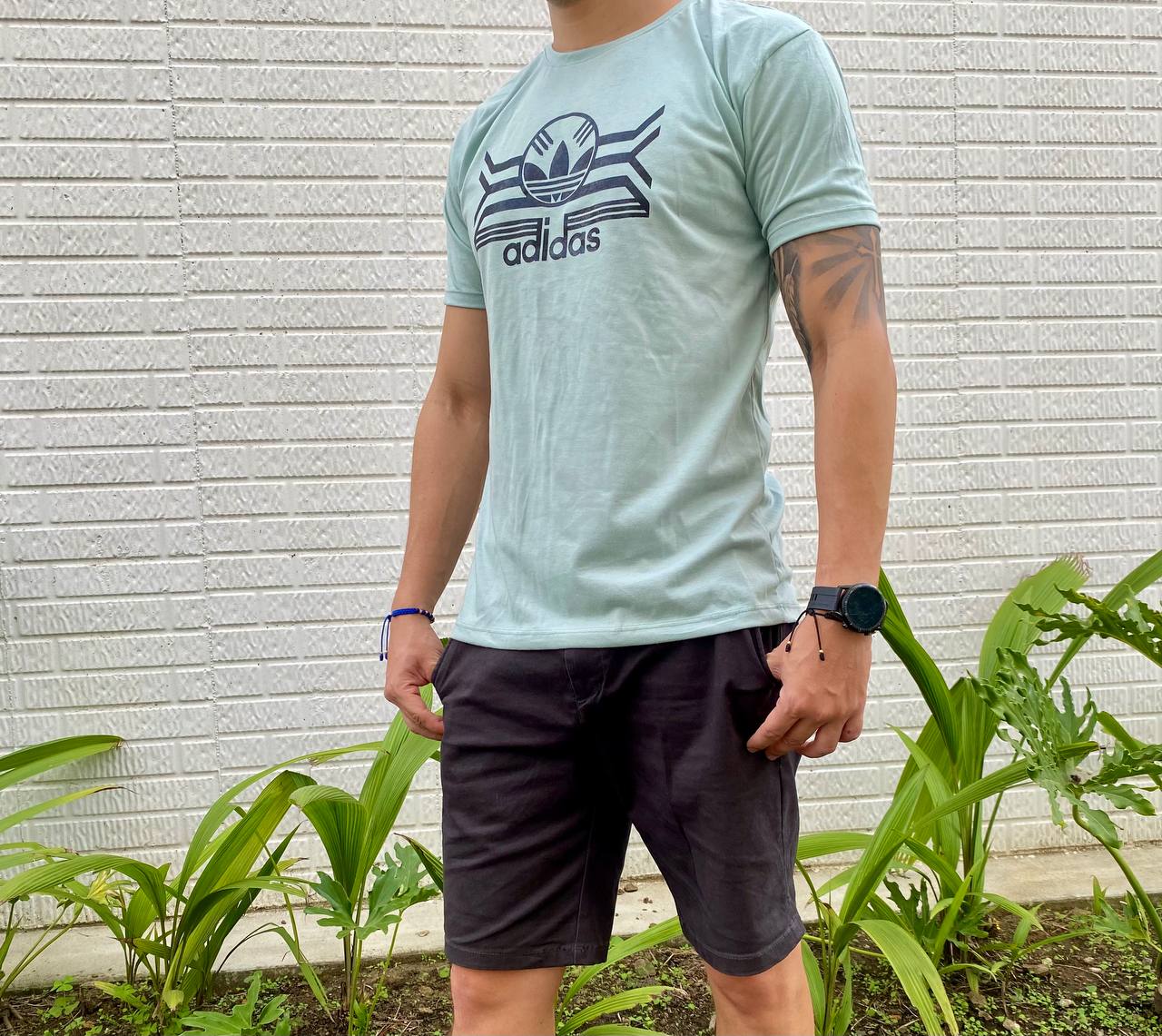 6 Camisetas en algodón estampadas